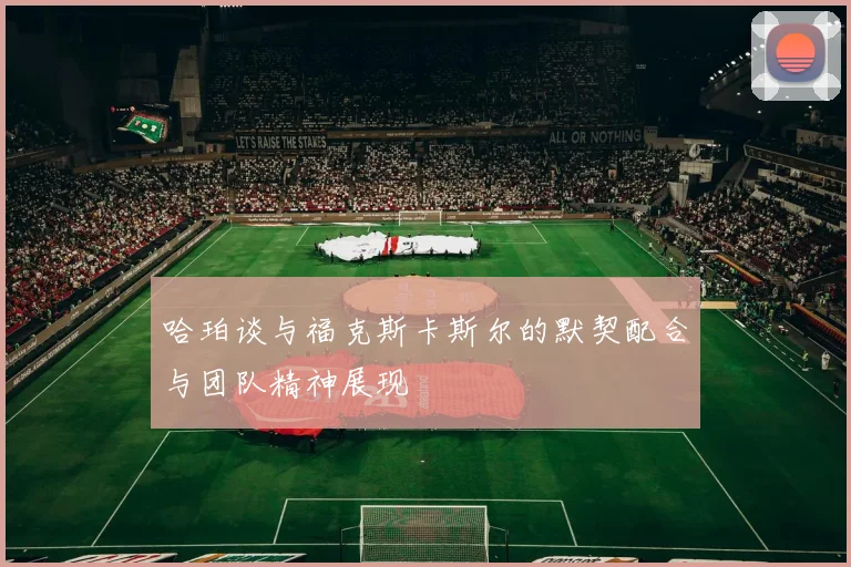 哈珀谈与福克斯卡斯尔的默契配合与团队精神展现