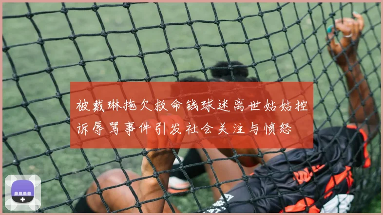被戴琳拖欠救命钱球迷离世姑姑控诉辱骂事件引发社会关注与愤怒