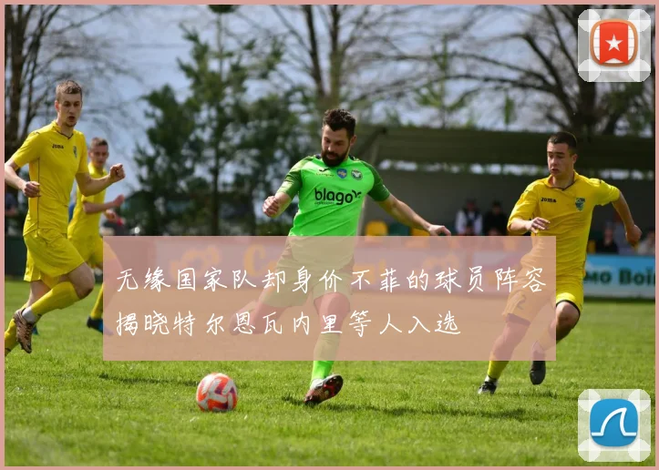 无缘国家队却身价不菲的球员阵容揭晓特尔恩瓦内里等人入选
