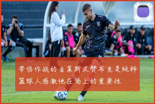 带伤作战的吉莱斯皮赞布克是纯粹篮球人感激他在场上的重要性