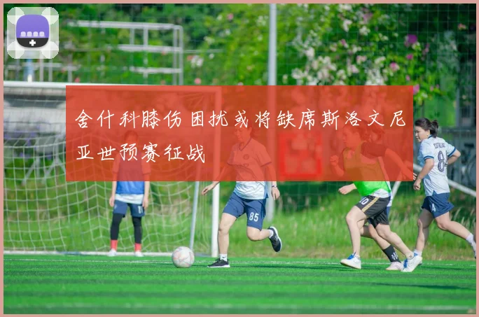 舍什科膝伤困扰或将缺席斯洛文尼亚世预赛征战